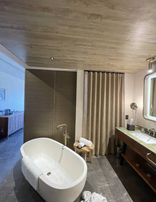 New Project – 2024-12-26T124539.652 Bathroom Renovation
